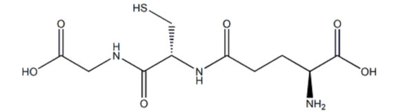 Glutathione Powder CAS 70-18-8 for Nutrient Supplements Skin Whitening Reduced Glutathione Powder L-Glutathione