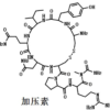 Hot Sale Vasopressin CAS 11000-17-2 For Lab Research